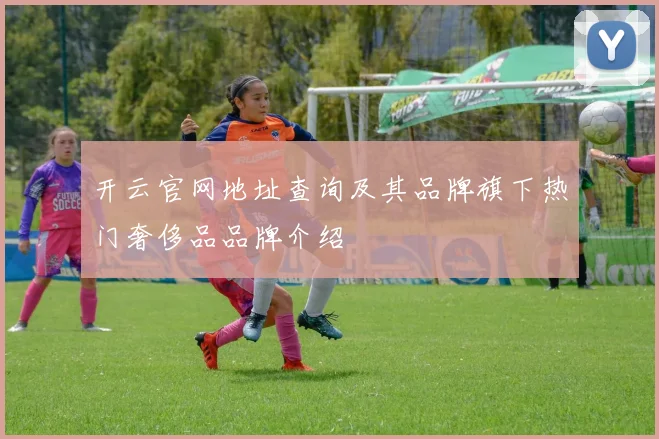 开云官网地址查询及其品牌旗下热门奢侈品品牌介绍