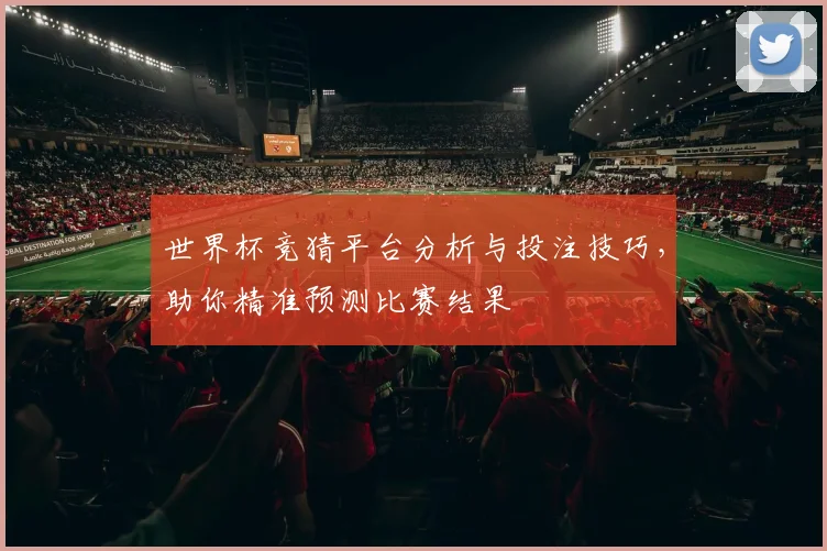 世界杯竞猜平台分析与投注技巧，助你精准预测比赛结果